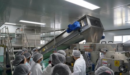 產學研深度融合 協同培育技術人才——青島?？萍雅c河南工業大學食品工程聯合研發中心