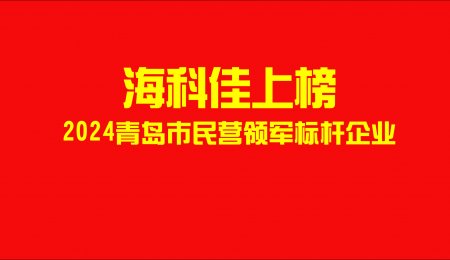 海科佳上榜！2024年青島市民營領(lǐng)軍標(biāo)桿企業(yè)